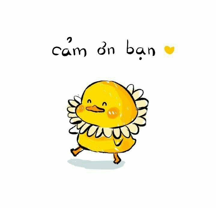 Chia sẻ hinh con vit cute siêu đáng yêu cực hot