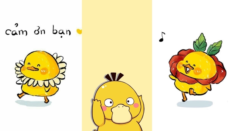  Bộ sưu tập ảnh avatar vịt hài hước miễn phí đẹp nhất 