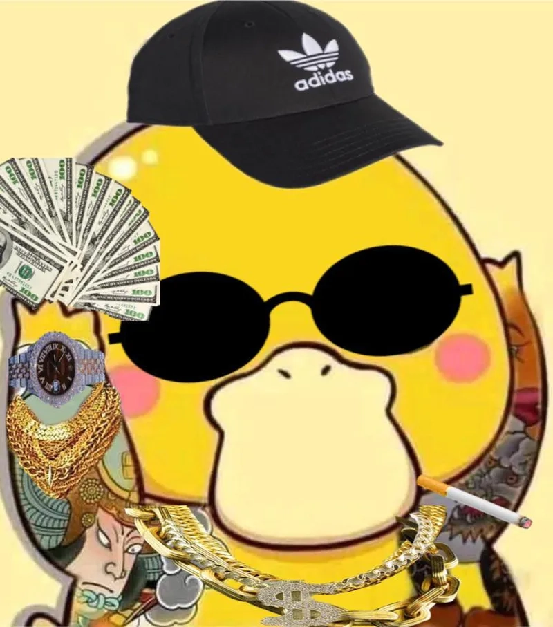 Chiêm ngưỡng một con vịt màu trắng xinh