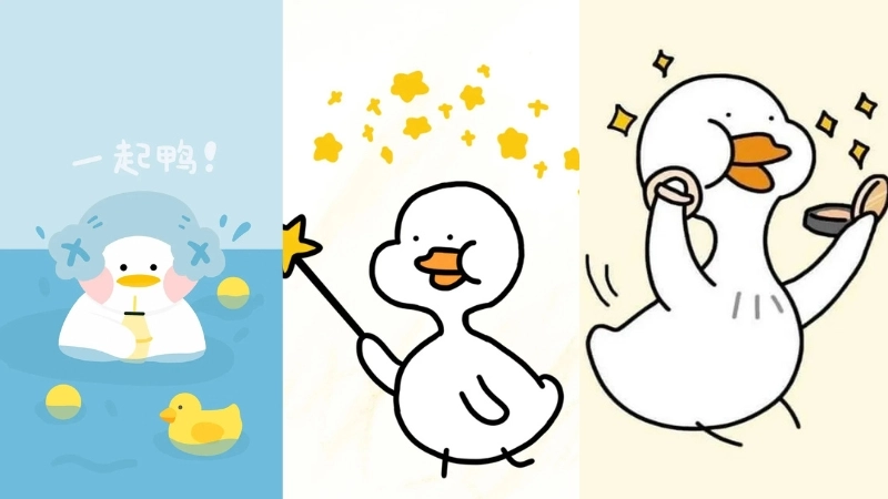  Tổng hợp ảnh avatar vịt siêu cute cho Facebook Zalo 