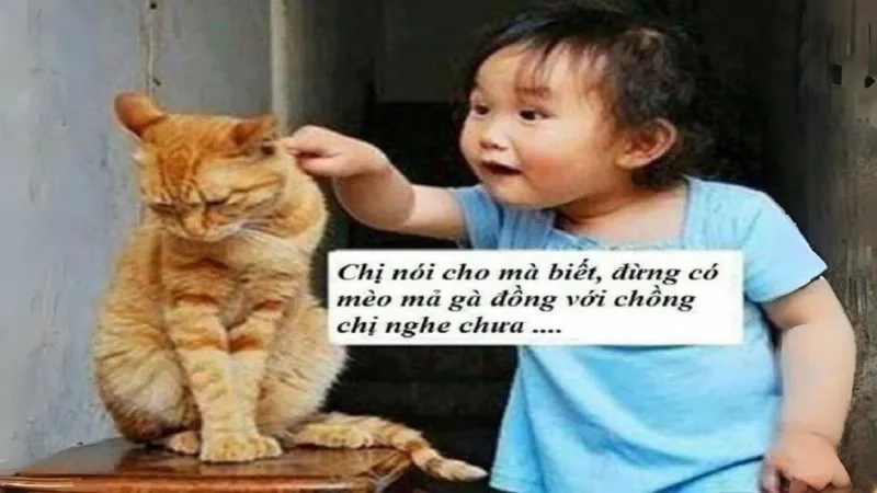 Sưu tầm ảnh meme chế bựa cực hài