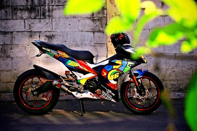 Chọn ngay wave alpha kiểng đẹp cực phẩm