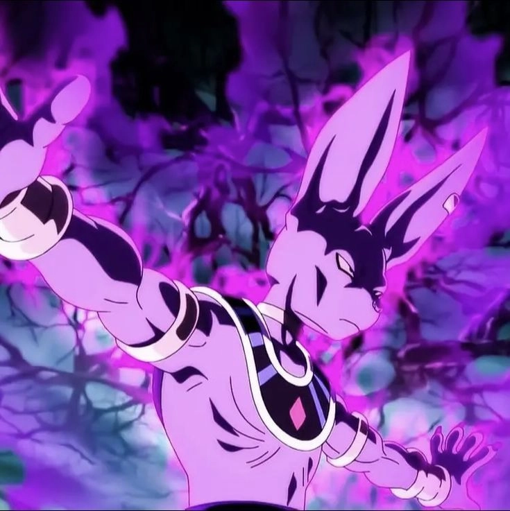 Beerus mèo và dáng vẻ cao quý đầy quyền lực