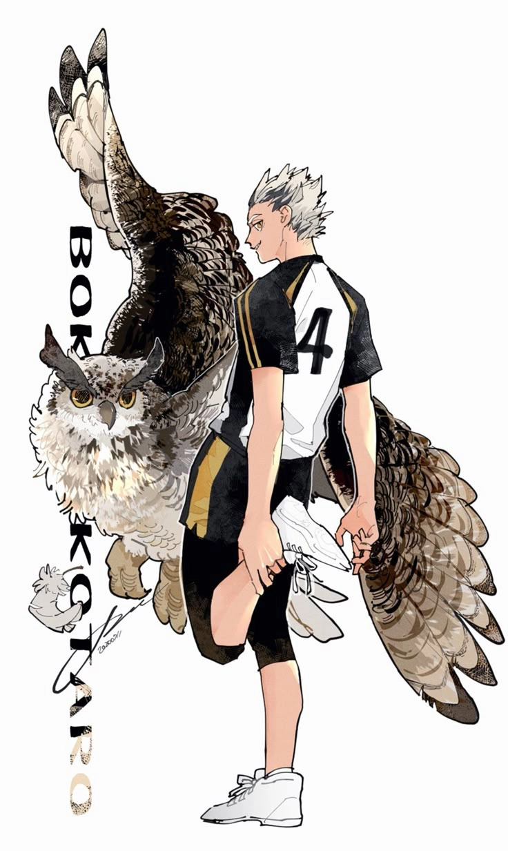 Owl Bokuto kết hợp giữa sức mạnh và sự nhạy bén