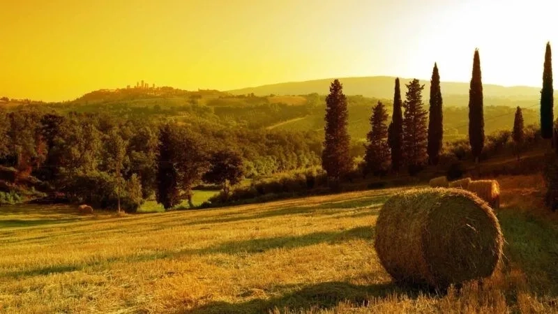 Cập nhật hình avatar phong cảnh đẹp nổi bật