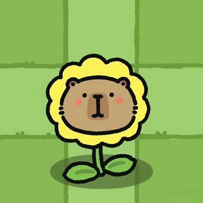 Bộ sưu tập capybara hình capybara chibi cute dễ thương