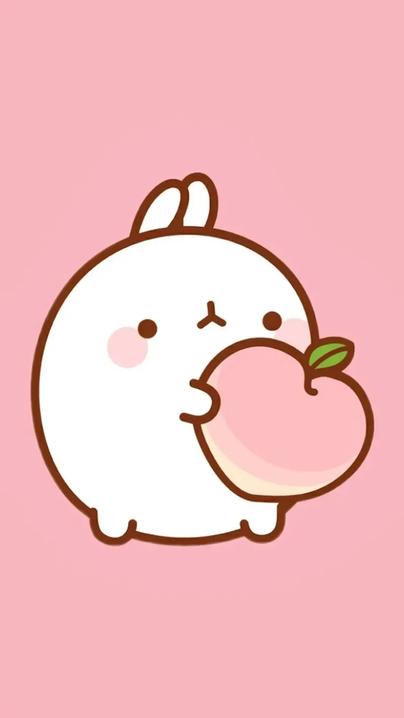 Tải ngay sticker sticker chibi vẽ con thỏ cute