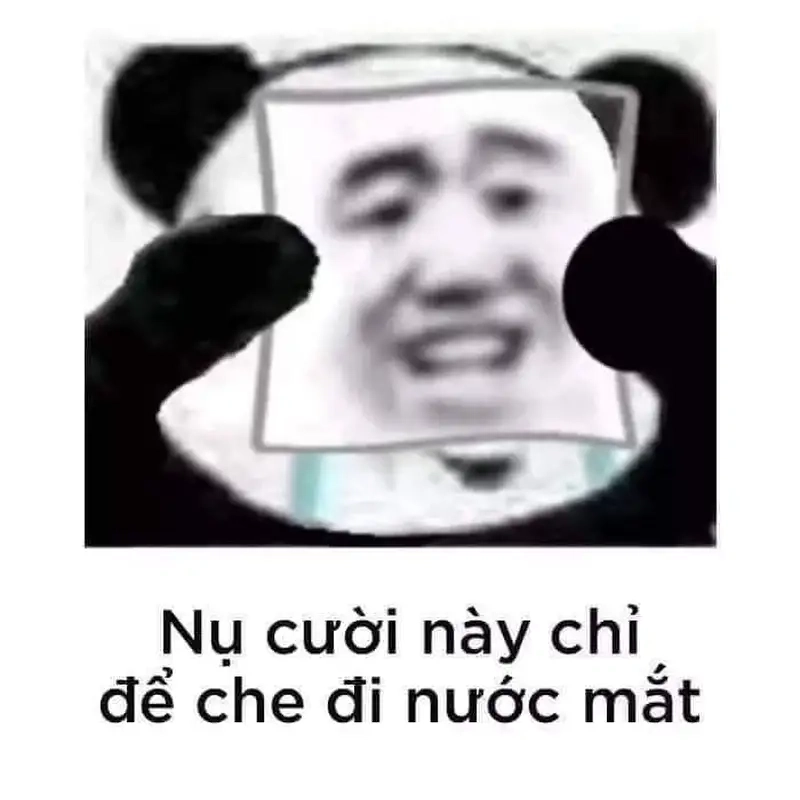 Vỡ òa cảm xúc với happy crying meme cưng xỉu