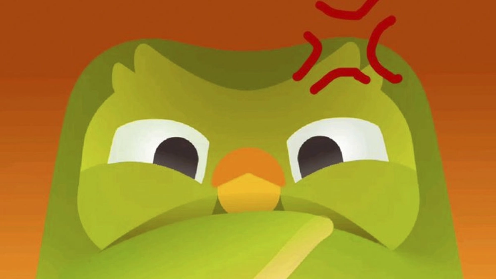  Bộ sưu tập ảnh Duolingo Meme khiến dân mạng phát cuồng 