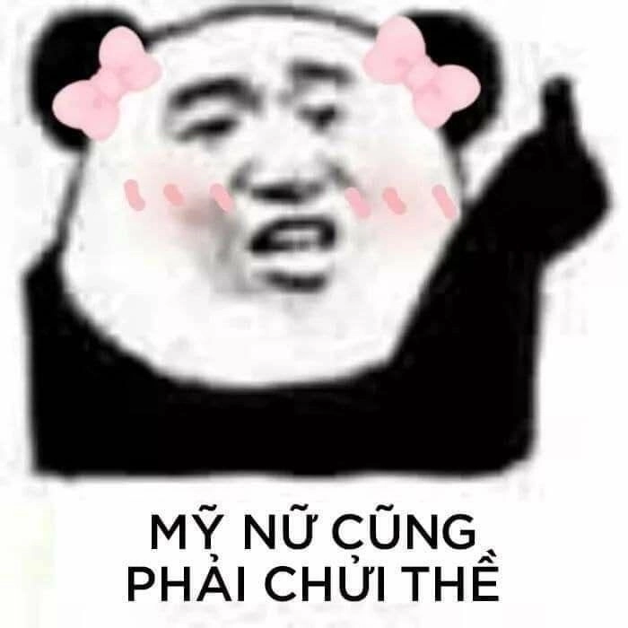 Gấu trúc siêu lầy đốn tim cộng đồng mạng meme gấu trúc bựa