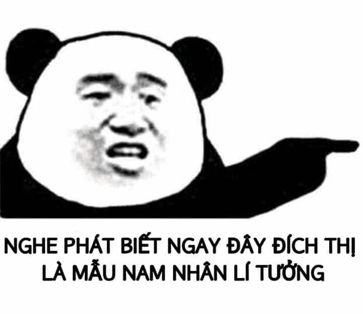 Siêu vui nhộn với bộ sưu tập vui nhộn meme gấu trúc bựa weibo