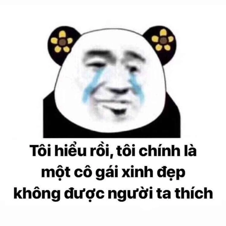 Top ảnh chế cực lầy ảnh chế meme gấu trúc bựa weibo