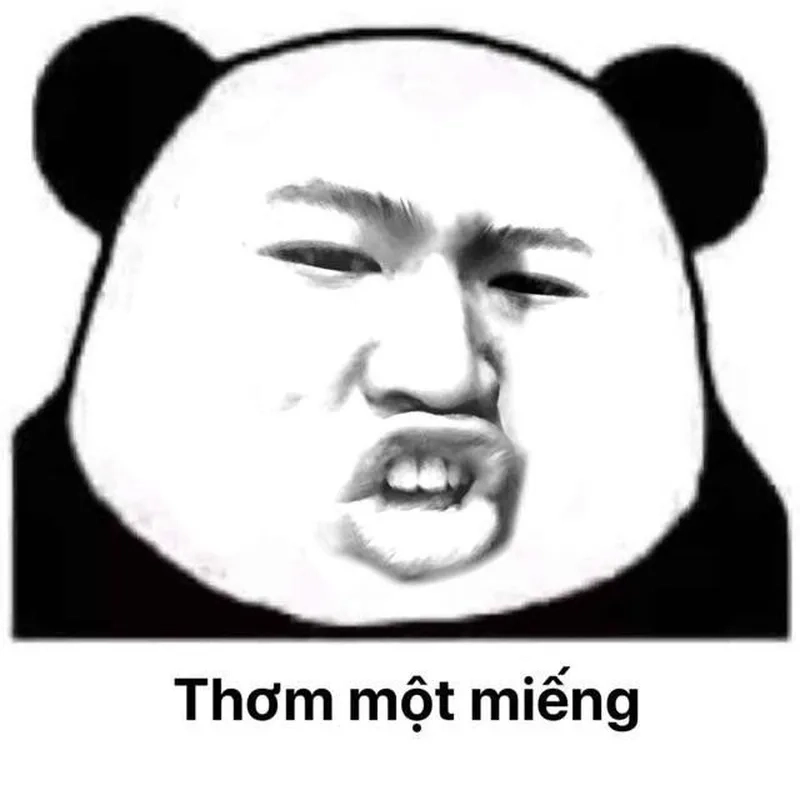 Lầy lội cực đại với meme gấu trúc meme chửi tục