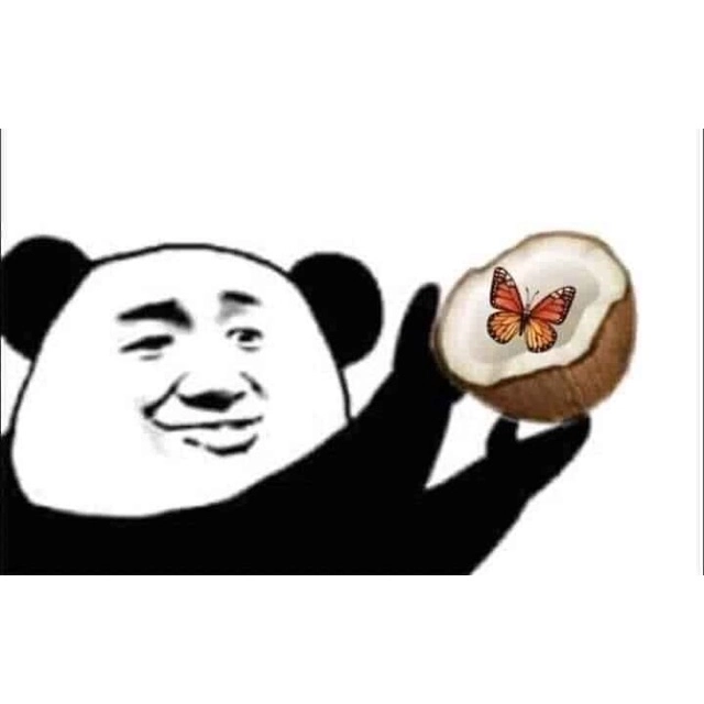 Thả nhẹ một chiếc ảnh meme gấu trúc bựa cho ngày tươi