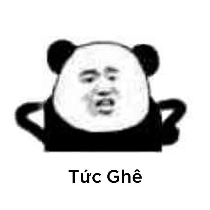 Siêu phẩm viral từ Trung Hoa ảnh meme gấu trúc trung quốc