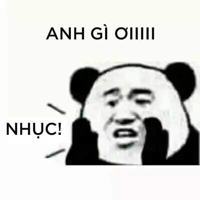 Bộ sưu tập chất chơi hình ảnh meme gấu trúc không thể bỏ lỡ