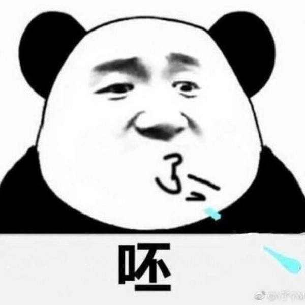 Gấu trúc hài không tưởng ảnh meme gấu trúc meme hài