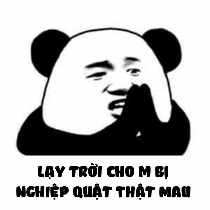 Chú con gấu trúc này cưng không chịu nổi