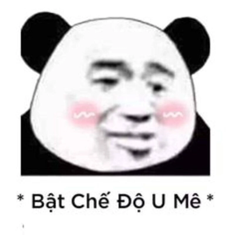 Boss gấu trúc lầy lội trong gấu trúc meme hài