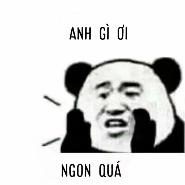 Xem là mê ngay ảnh meme gấu trúc meme hài siêu cuốn
