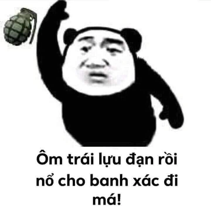 Ảnh meme gấu trúc bựa hài hước khiến bạn cười xỉu 