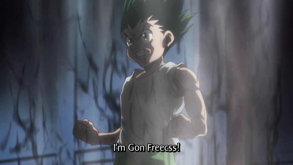 Hunter x Hunter Gon Freecss sinh ra ở đảo Cá Voi