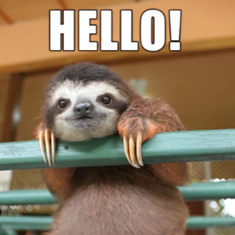 Cười xỉu với loạt ảnh meme hello nhìn là auto cười