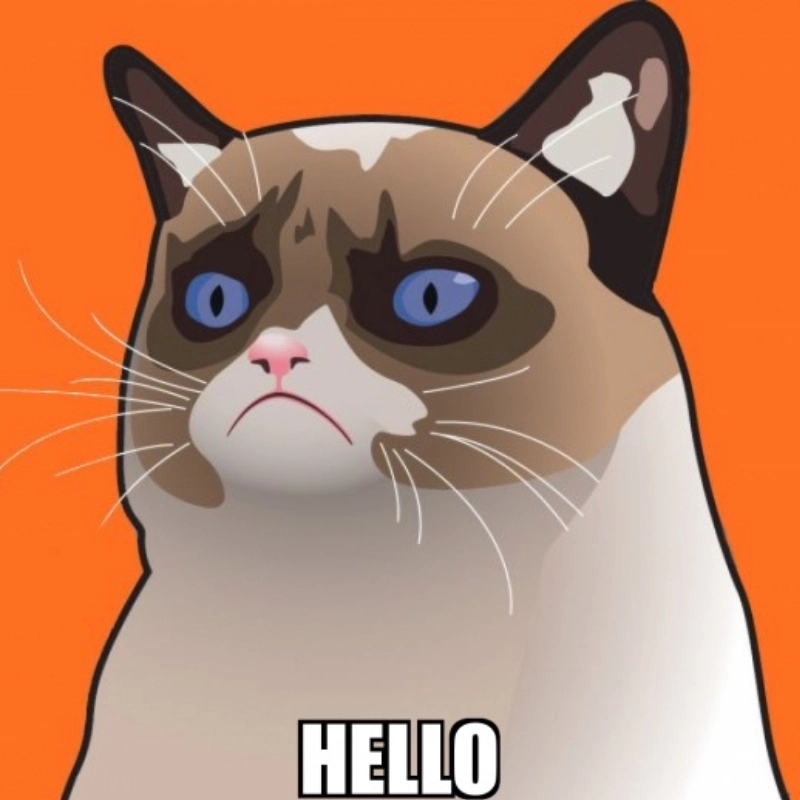 Mỗi lần mèo nói chào là y như hello meme cat viral liền