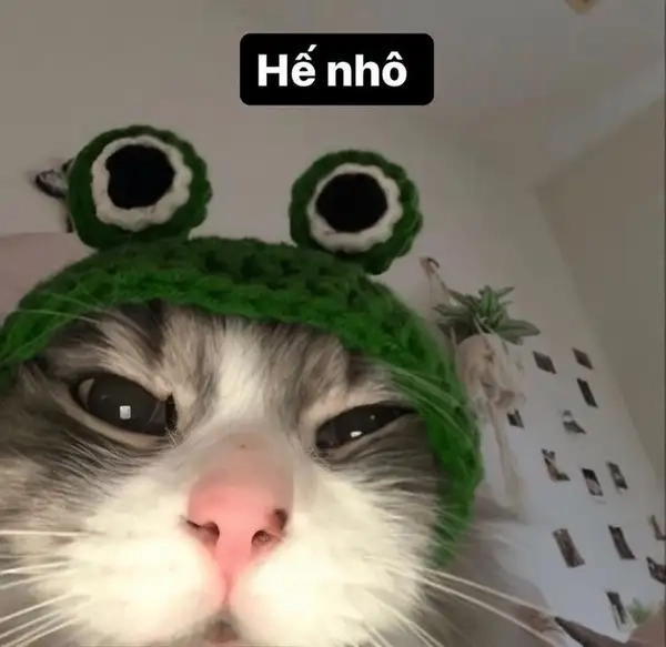Nói chào 2 lần như hello hello meme là chắc ăn trend