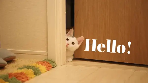 Trở về tuổi thơ với hello mario meme cực kỳ iconic