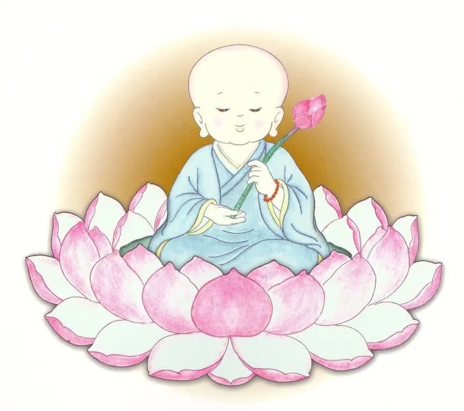 Ngắm hình ảnh chú tiểu ngồi thiền yên bình