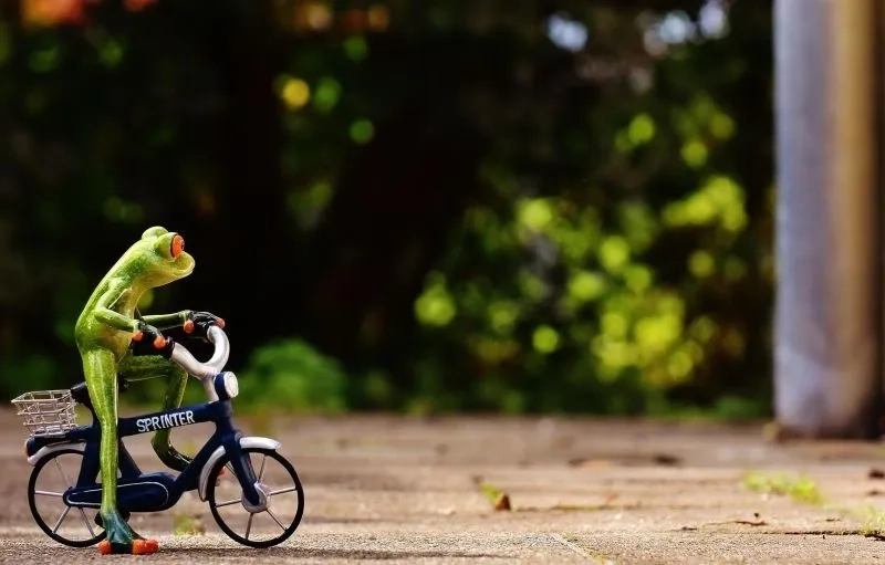 Xem ngay phim hoạt hình chú ếch xanh hay nhất