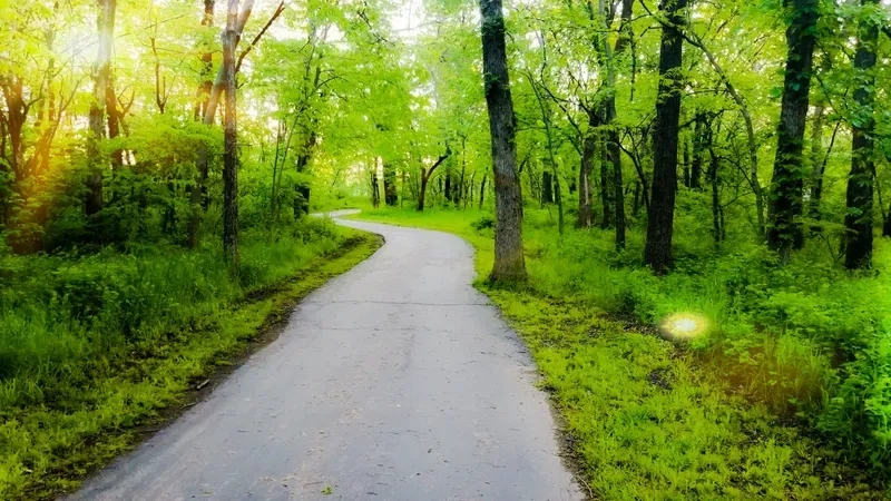 Chiêm ngưỡng hình nền điện thoại 4k thiên nhiên bắt mắt