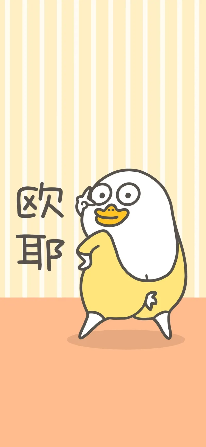 Ngắm nhìn một con vịt trắng dễ thương