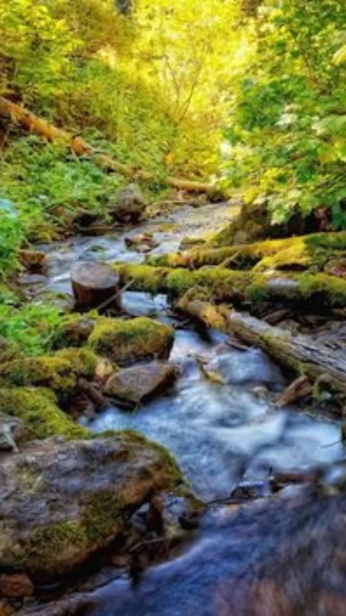 Hình nền điện thoại ngầu nam với avatar điện thoại