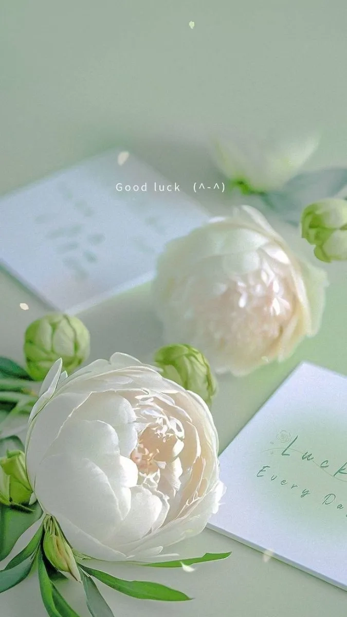 Hình nền phong cảnh anime cho điện thoại cùng avatar điện thoại