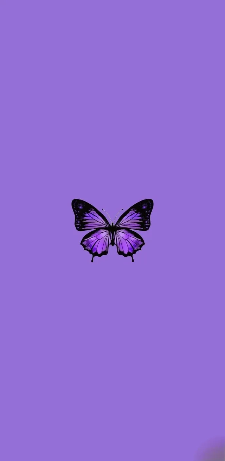Chiêm ngưỡng hình nền đẹp màu tím cute cực yêu