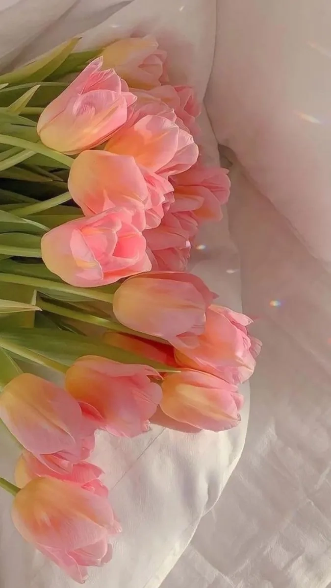 Khám phá nền đt đẹp chill chất lượng cao