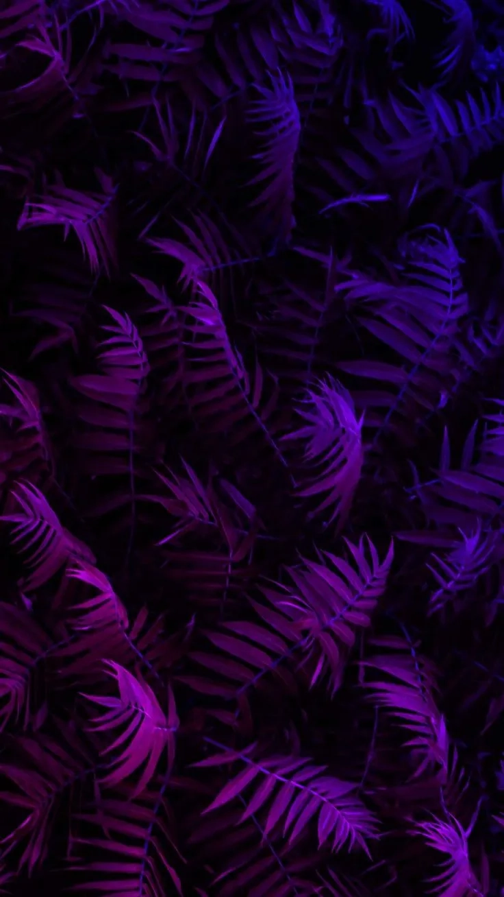 Tải ngay hình nền màu tím nhạt nhẹ nhàng cuốn hút