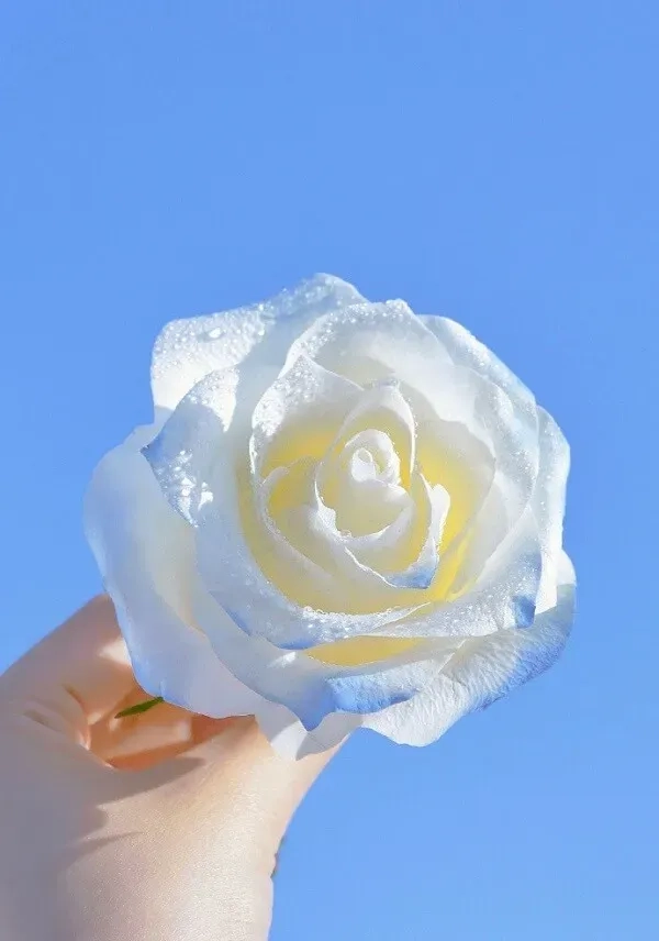 Cài đặt hình nền xanh da trời nhạt đẹp mắt