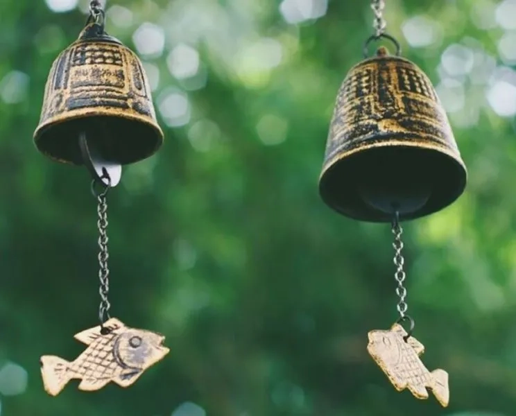 Khám phá hình nền cỏ may mắn cực đẹp