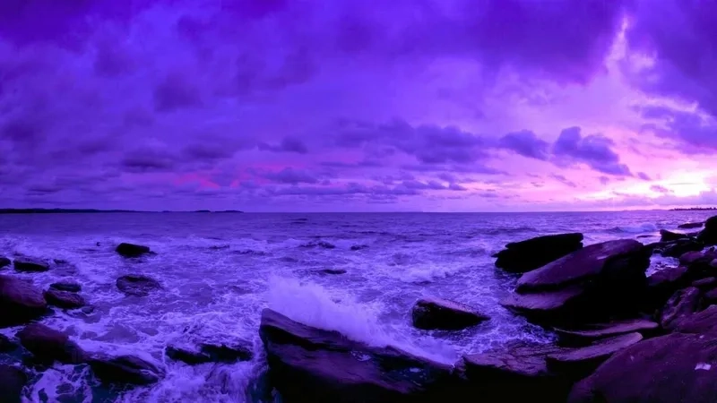 Khám phá hình nền caro màu tím siêu đẹp