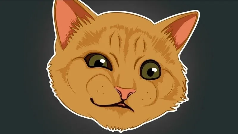 Cập nhật ngay bộ hình nền meme đang viral khắp mạng xã hội