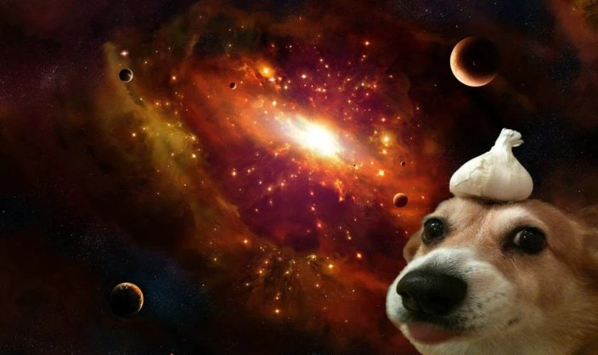 Màn hình sống động hơn với hình nền meme bựa chất lượng