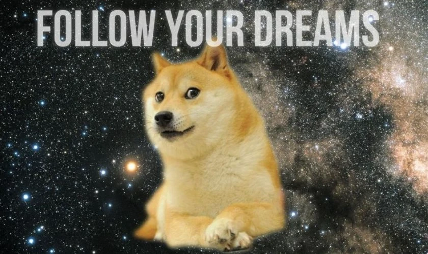 Yêu thú cưng thì đừng bỏ qua hình nền con chó meme