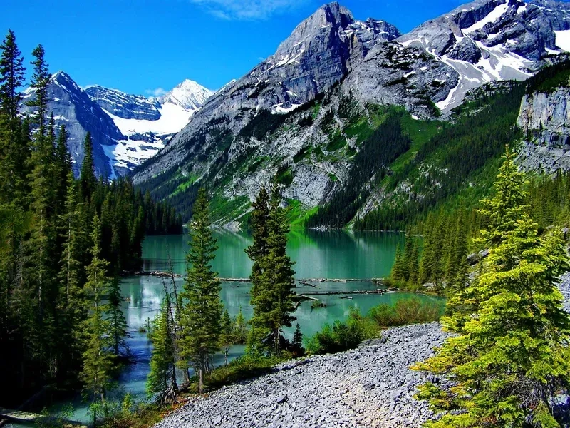 Sở hữu hình nền thiên nhiên 4k đẹp cho máy tính lung linh