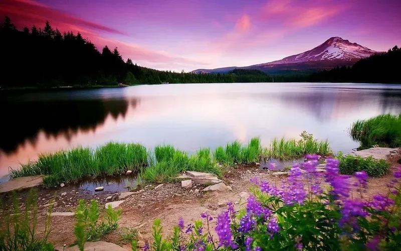 Chọn ngay ảnh nền thiên nhiên đẹp 4k tuyệt vời