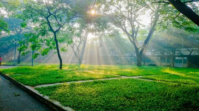 Lưu ngay hình nền phong cảnh full hd sống động