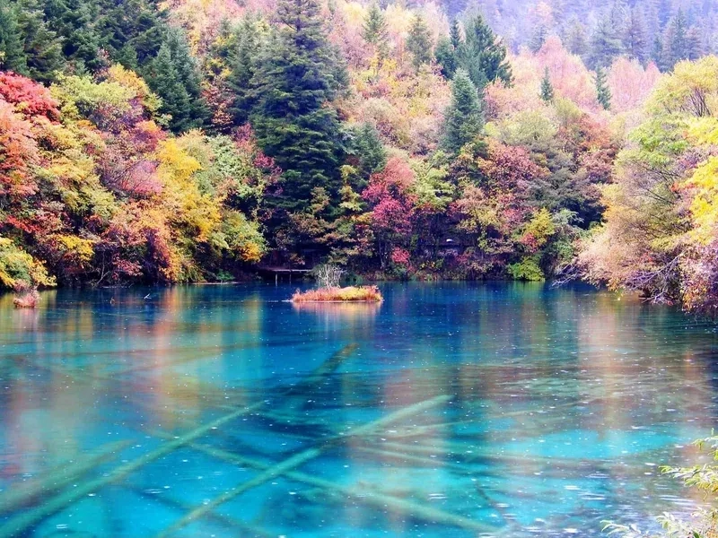 Sở hữu hình nền thiên nhiên full hd cho điện thoại đẳng cấp