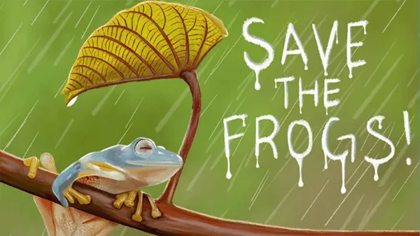 Tải ngay avatar hình con ếch dễ thương